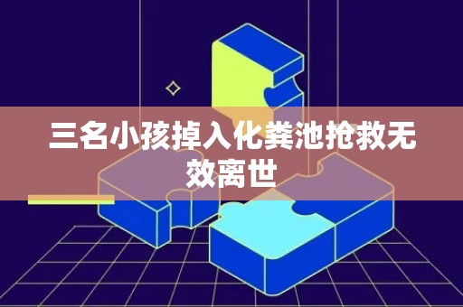 三名小孩掉入化粪池抢救无效离世