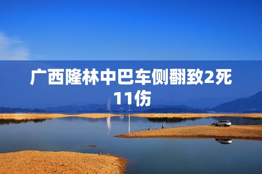 广西隆林中巴车侧翻致2死11伤