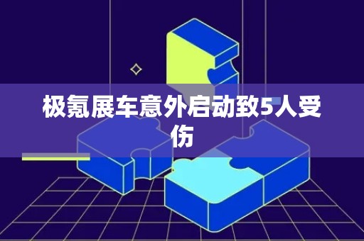 极氪展车意外启动致5人受伤