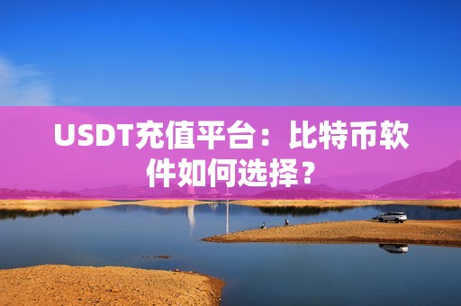 USDT充值平台：比特币软件如何选择？