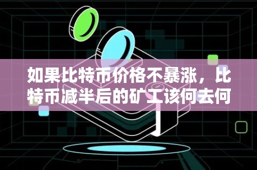 如果比特币价格不暴涨，比特币减半后的矿工该何去何从？