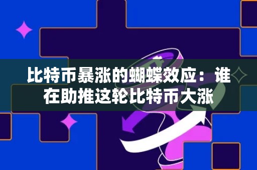 比特币暴涨的蝴蝶效应：谁在助推这轮比特币大涨