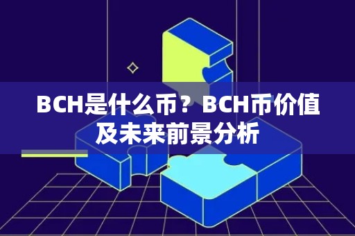 BCH是什么币？BCH币价值及未来前景分析