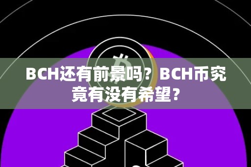 BCH还有前景吗？BCH币究竟有没有希望？