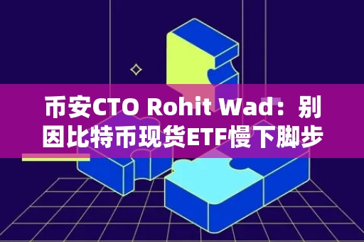 币安CTO Rohit Wad：别因比特币现货ETF慢下脚步！要让人人轻松使用加密货币