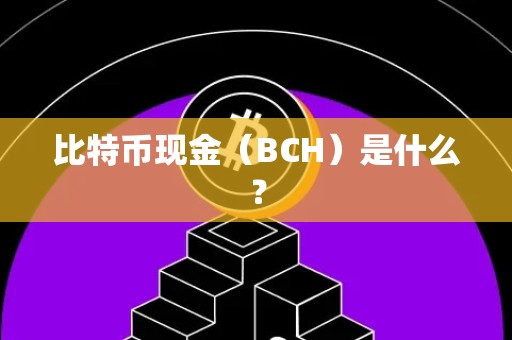 比特币现金（BCH）是什么？