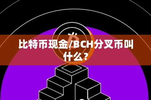 比特币现金/BCH分叉币叫什么？