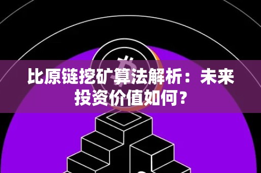 比原链挖矿算法解析：未来投资价值如何？