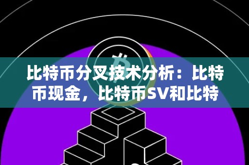 比特币分叉技术分析：比特币现金，比特币SV和比特币黄金