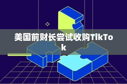 美国前财长尝试收购TikTok