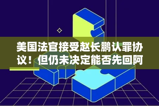 美国法官接受赵长鹏认罪协议！但仍未决定能否先回阿联酋