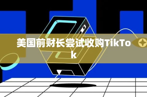 美国前财长尝试收购TikTok