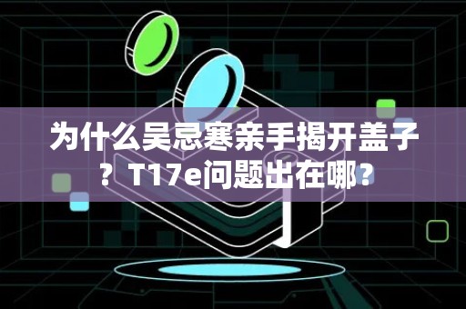 为什么吴忌寒亲手揭开盖子？T17e问题出在哪？