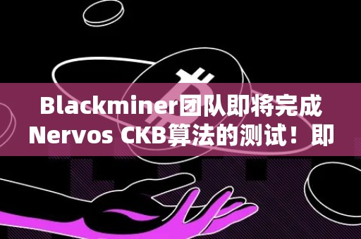 Blackminer团队即将完成Nervos CKB算法的测试！即将支持Nervos CKB挖矿