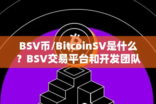 BSV币/BitcoinSV是什么？BSV交易平台和开发团队介绍