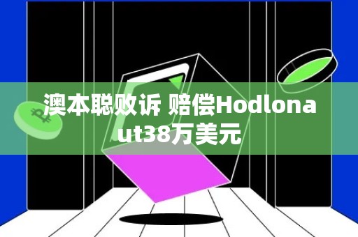 澳本聪败诉 赔偿Hodlonaut38万美元