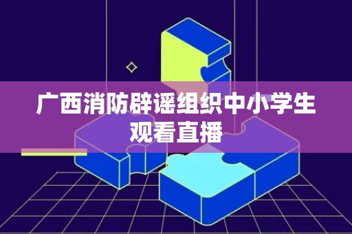 广西消防辟谣组织中小学生观看直播