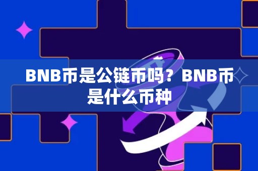 BNB币是公链币吗？BNB币是什么币种