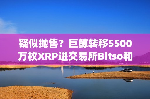 疑似抛售？巨鲸转移5500万枚XRP进交易所Bitso和Bitstamp