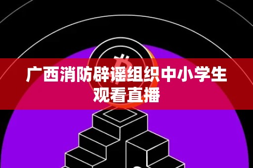 广西消防辟谣组织中小学生观看直播