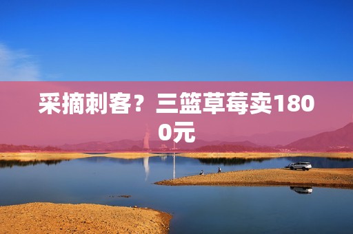 采摘刺客？三篮草莓卖1800元