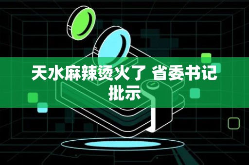 天水麻辣烫火了 省委书记批示