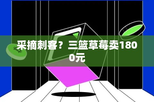 采摘刺客？三篮草莓卖1800元