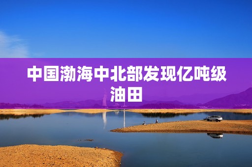 中国渤海中北部发现亿吨级油田