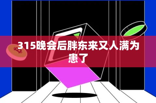 315晚会后胖东来又人满为患了