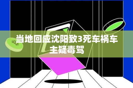 当地回应沈阳致3死车祸车主疑毒驾