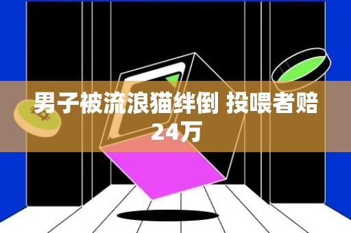 男子被流浪猫绊倒 投喂者赔24万