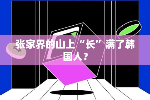 张家界的山上“长”满了韩国人？