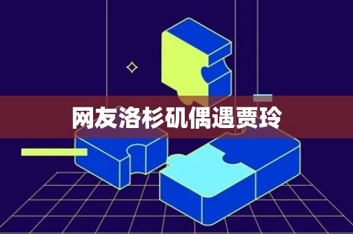 网友洛杉矶偶遇贾玲