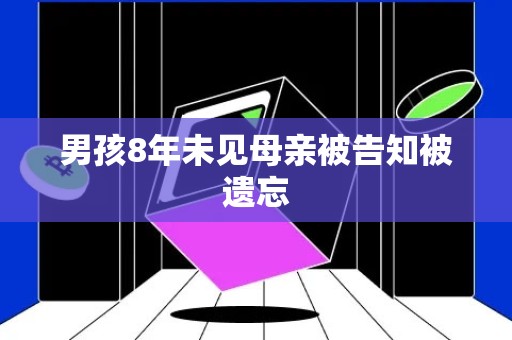 男孩8年未见母亲被告知被遗忘