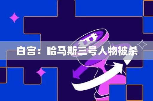 白宫：哈马斯三号人物被杀