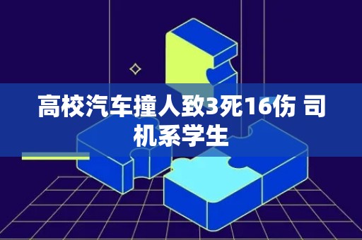 高校汽车撞人致3死16伤 司机系学生