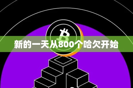 新的一天从800个哈欠开始