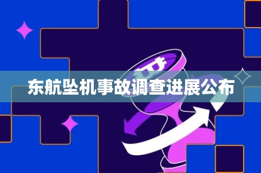 东航坠机事故调查进展公布