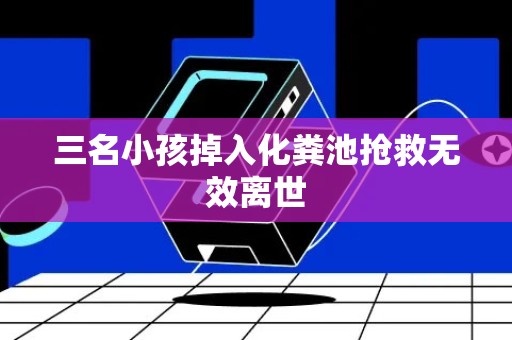 三名小孩掉入化粪池抢救无效离世